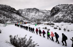 wps397.png wps397.png