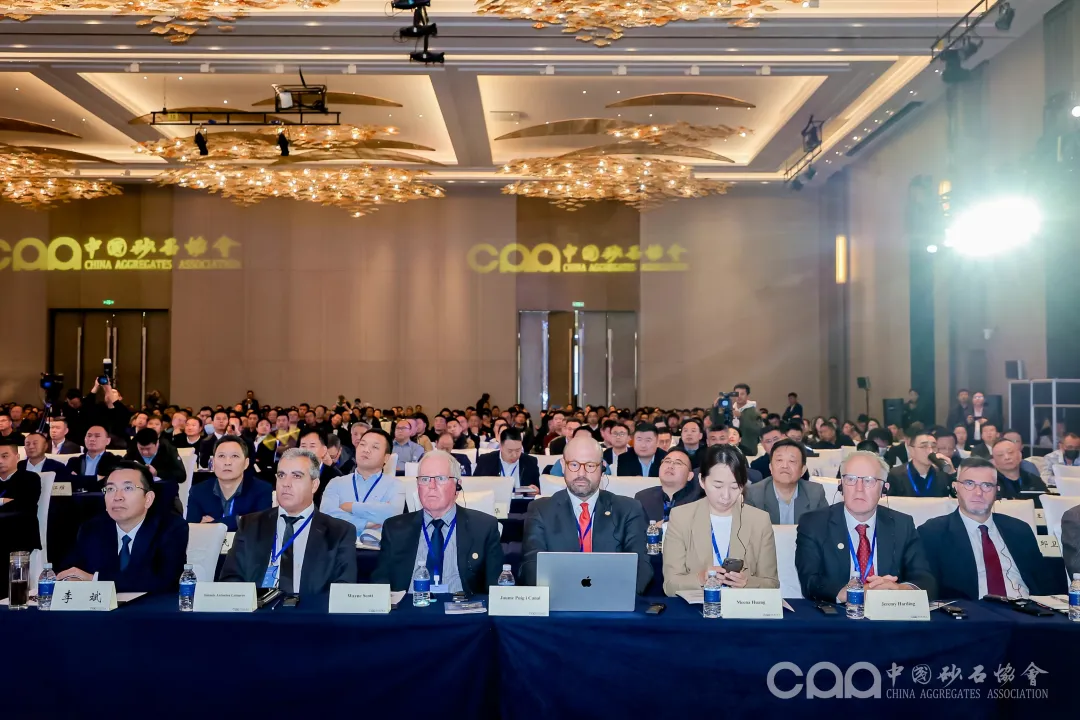 主旨报告 | 胡幼奕以国际化视角,提出固废综合利用和生态环境修复新思路